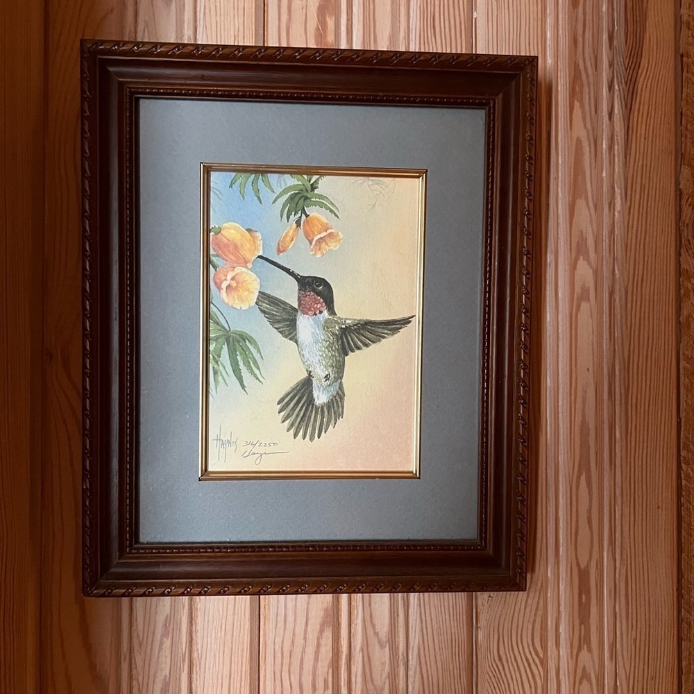 Hummingbird Watercolor by Haynes Framed